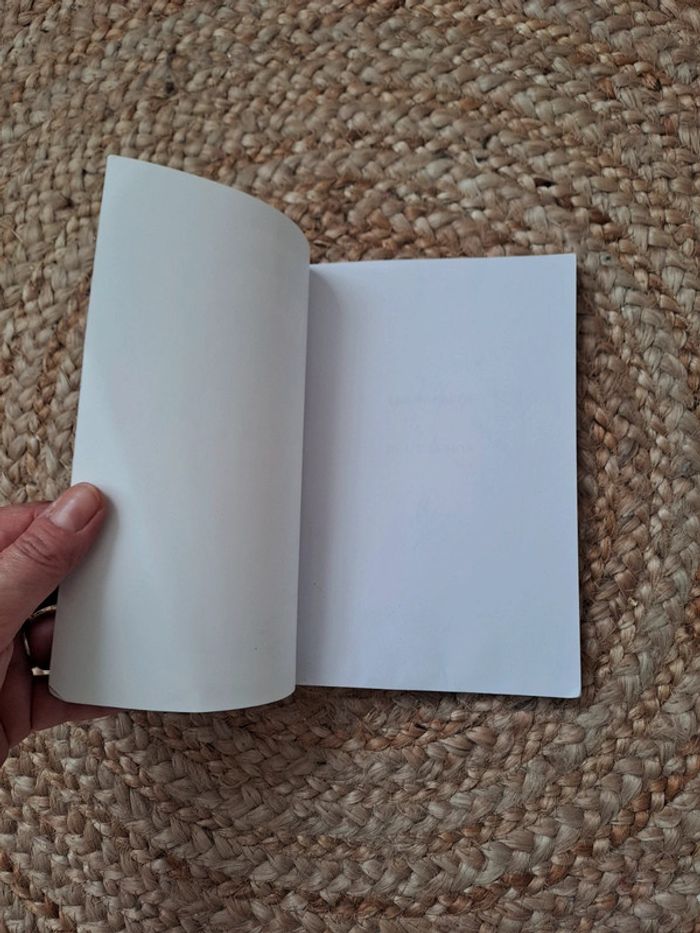 Les manèges de L illusion - photo numéro 5