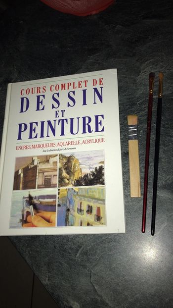 Livre de cours complet de peinture et 3 pinceaux