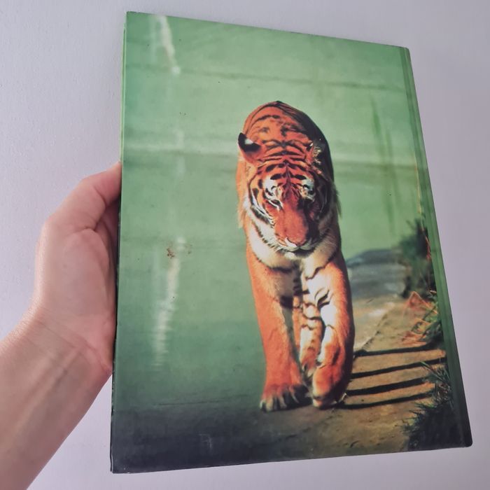 Les grandes énigmes de la vie des animaux - photo numéro 2