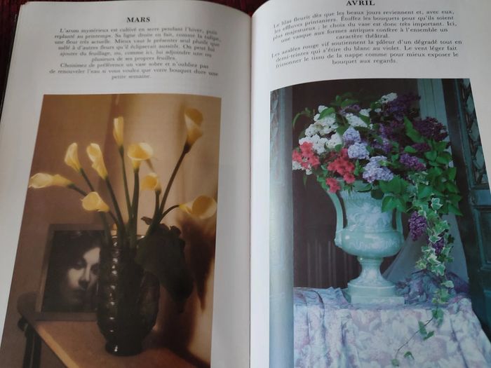 Livre botanique "La maison fleurie" - édition Solar - photo numéro 6