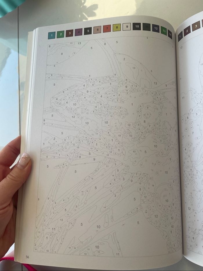 Coloriages mystères animaux - photo numéro 5