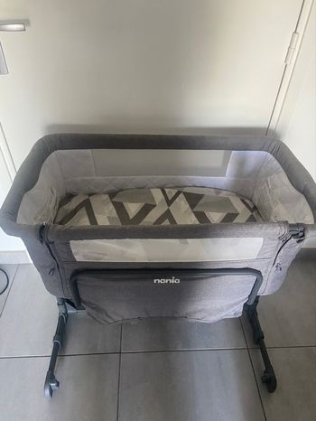 Cododo gris