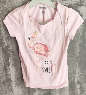 Tee shirt flamand fille