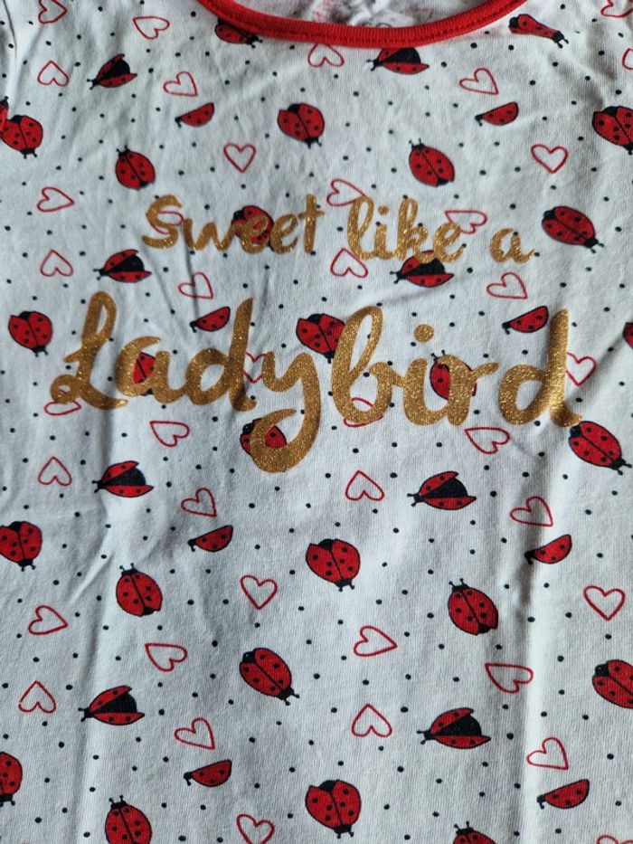T-shirt coccinelle 6 ans 🐞 - photo numéro 4