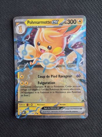 Pohmarmotte EX 073 - Flammes Obsidiennes