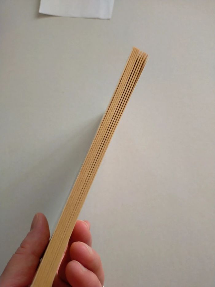 Garfield just good friends - photo numéro 4