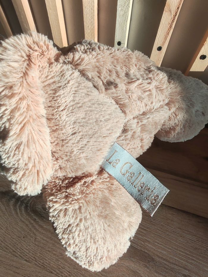 Chat beige la galleria - photo numéro 4