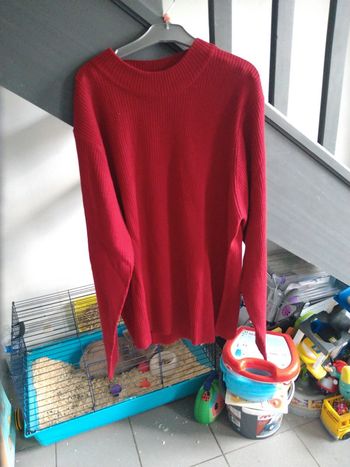 Pull 54/56 bleu bonheur