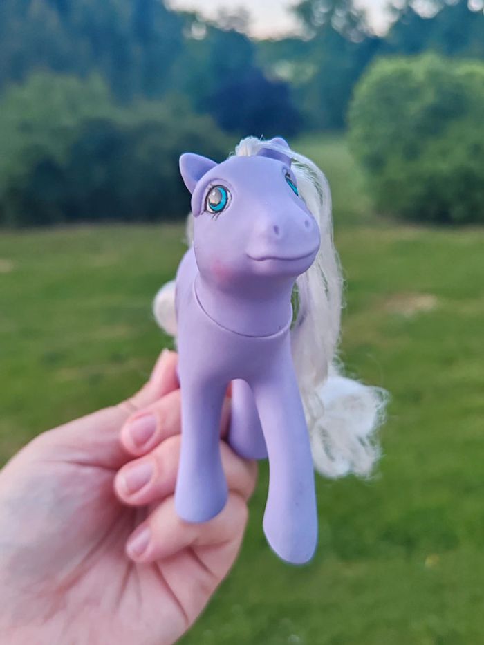 Petit poney g1 - flutter forget-me-not - photo numéro 4