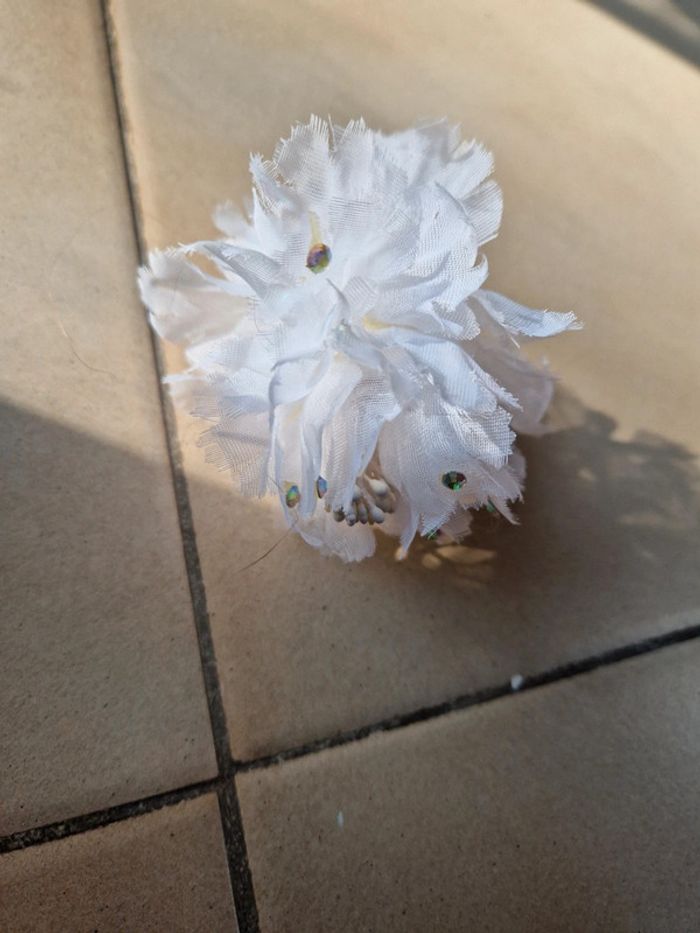 Pince pour cheveux - photo numéro 3