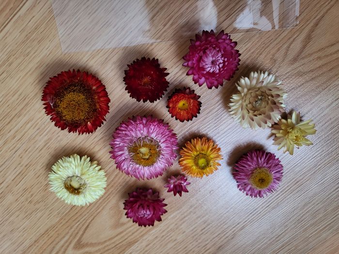 Fleurs séchées - photo numéro 3