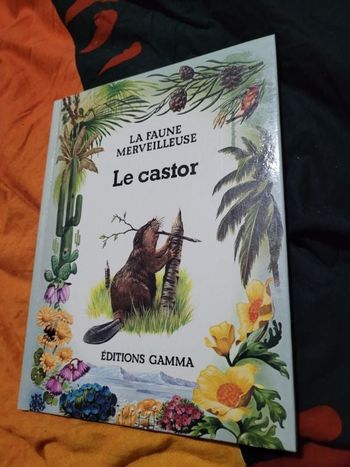 La faune merveilleuse le castor