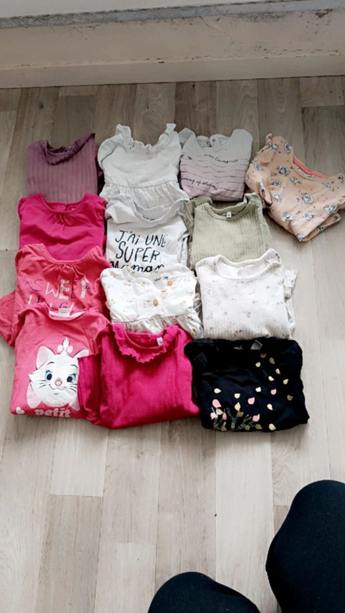 Gros lot tee shirts manches longues taille 24 mois marques diverses