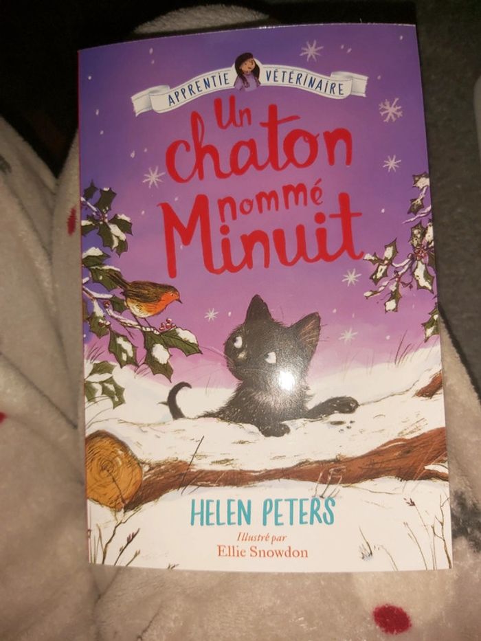 Livre un chaton nommé minuit - photo numéro 1