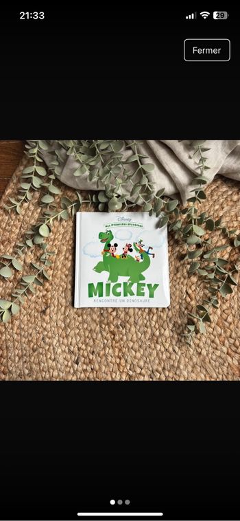 Livre Disney mes premières histoires Mickey