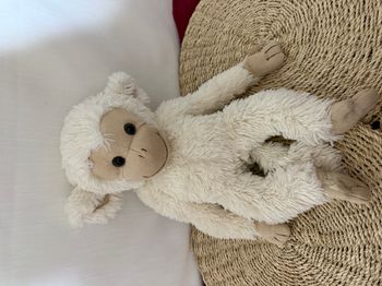 doudou singe Bukowski 