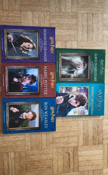 Neuf lot de livres harry potter 