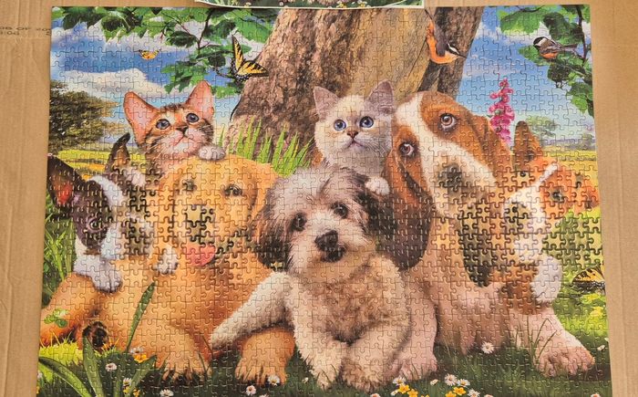 4 puzzles 1000 pièces - photo numéro 6