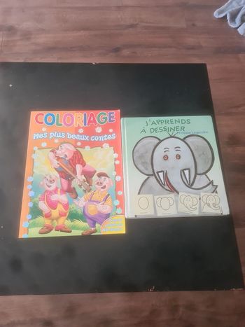 Lot 2 livres de coloriage