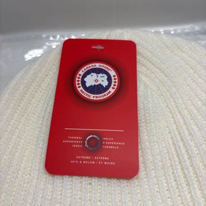 Bonnet Canada goose - photo numéro 3