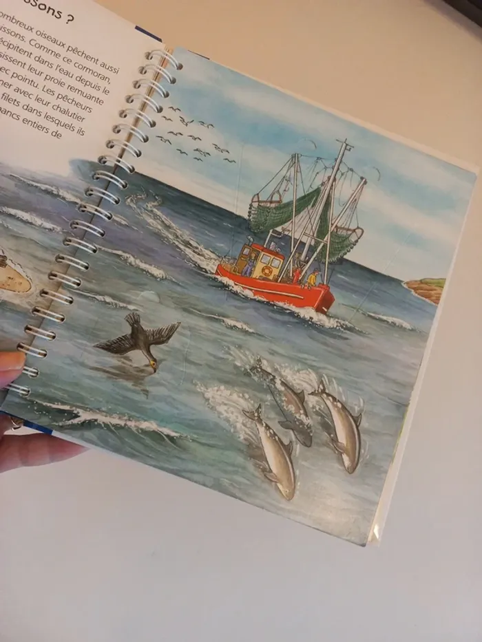 Livre enfant A la mer - photo numéro 4