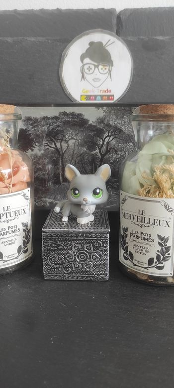 My Littlest Petshop Pet Shop LPS Authentic  Authentique dog Chien Corgi 367