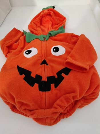 Deguisement 6-12 mois