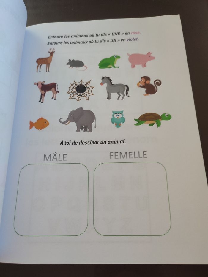 Cahier d'activités préparation à la maternelle - photo numéro 3