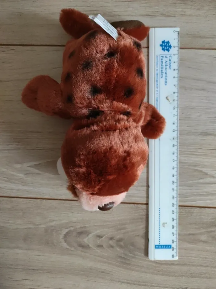 Winnie morse - photo numéro 3