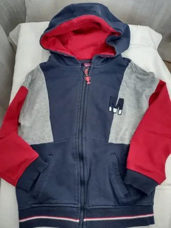 Veste à capuche
