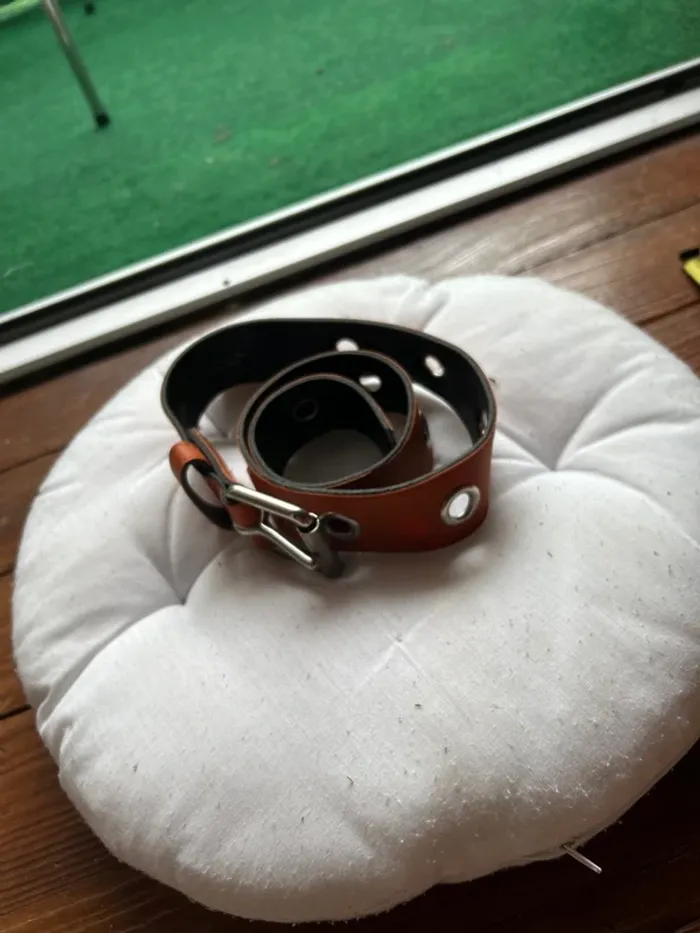 Ceinture - photo numéro 2