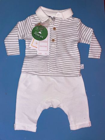 Ensemble Naissance Été