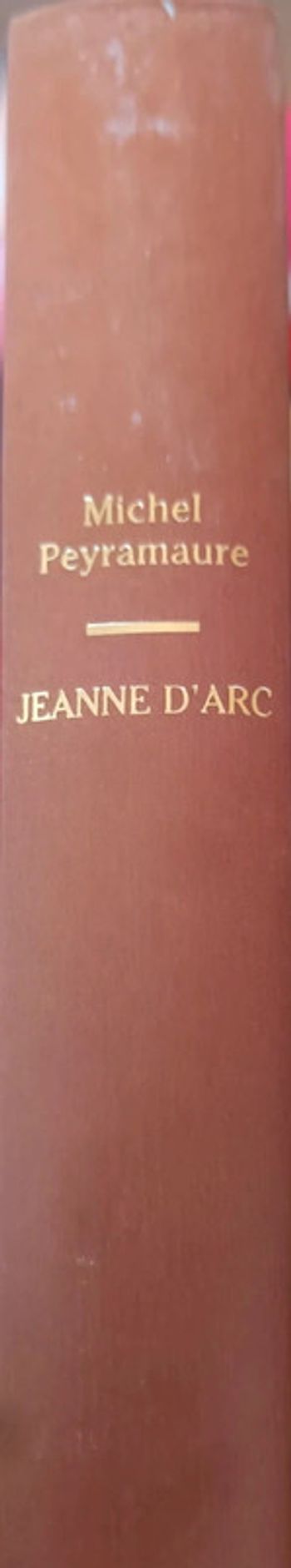Livre Jeanne d'Arc Michel Puyramaure