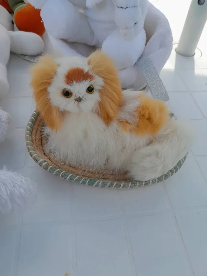 Peluche - photo numéro 3