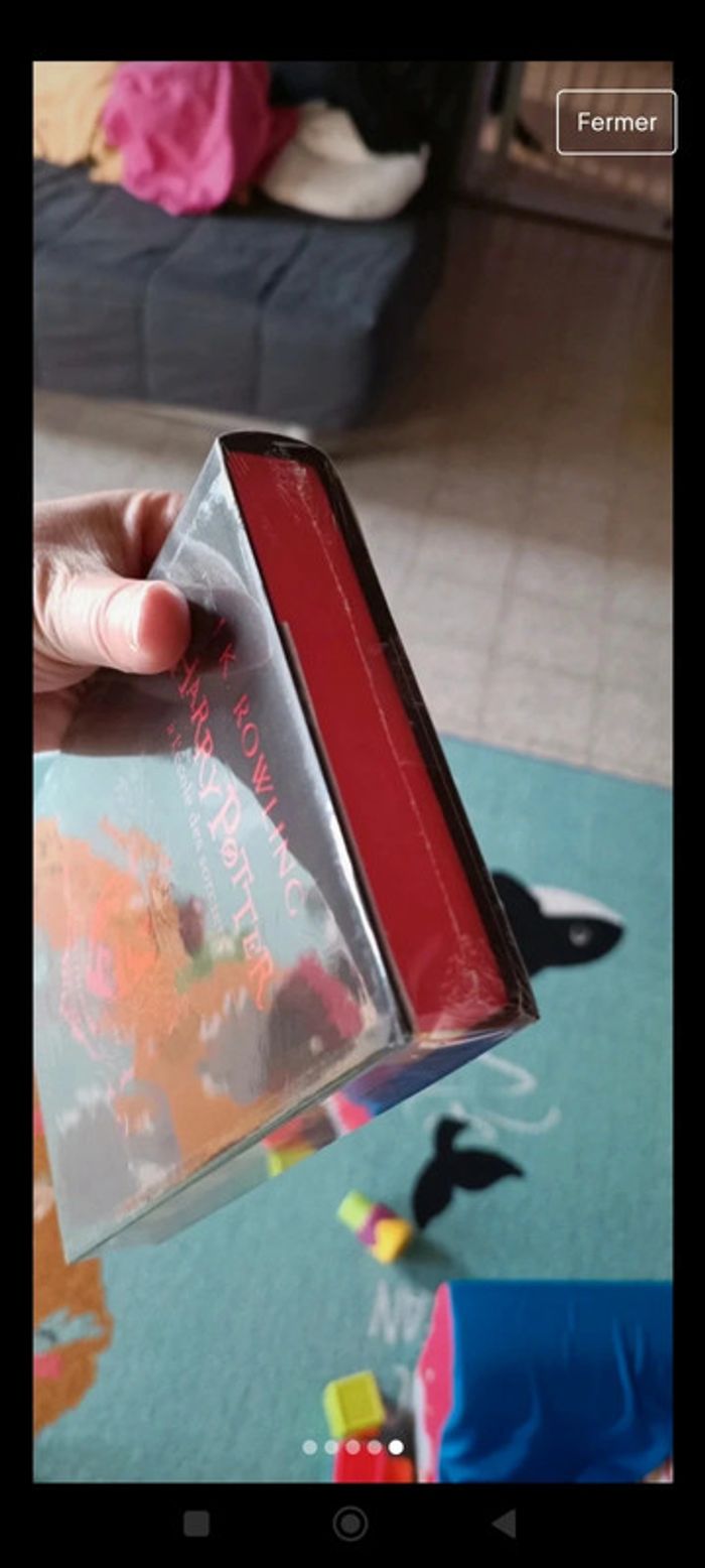 Harry Potter et l' école des sorciers livre gryffondor - photo numéro 5