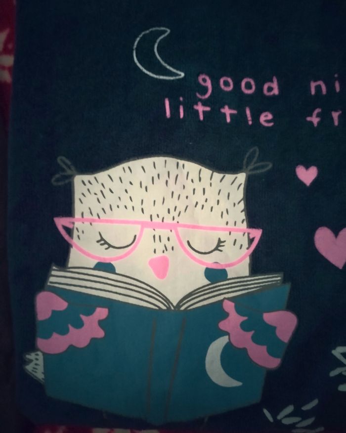 Haut de pyjama chaud Hiboux en très bon état - photo numéro 4