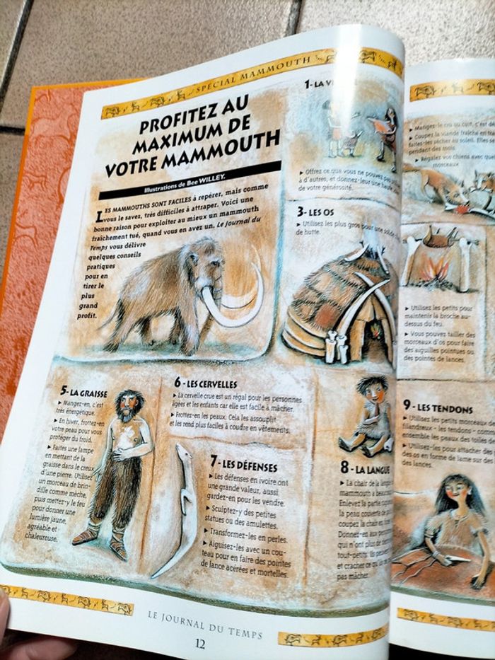 Livre 'l'age de pierre ' - photo numéro 4