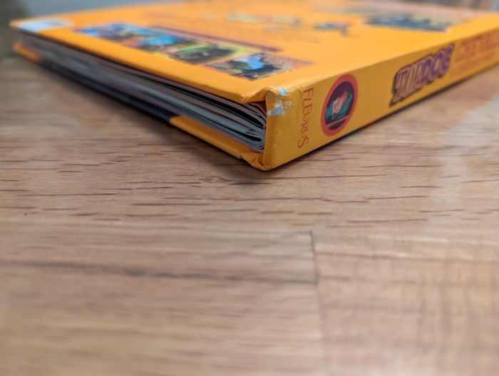 Top Doc Chevaliers et châteaux-forts par Fleurus
Dès 7 ans. - photo numéro 14