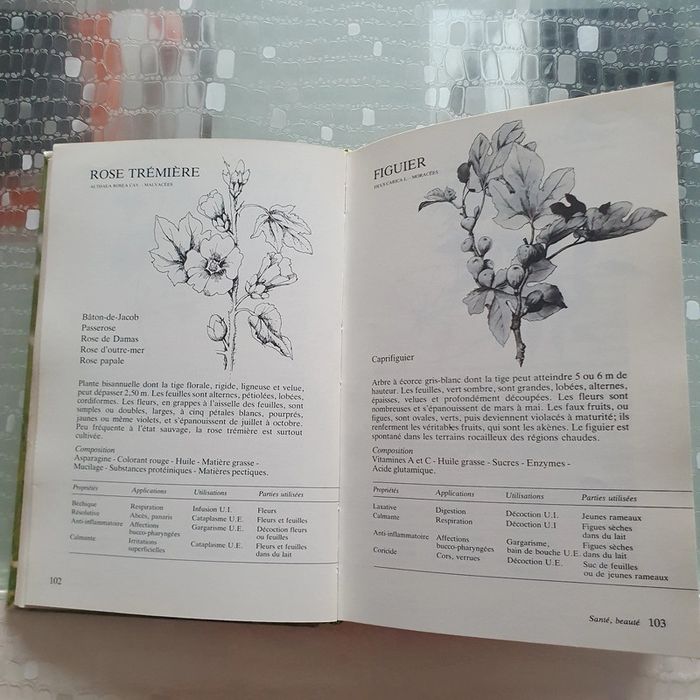 Mieux vivre par les plantes - photo numéro 2