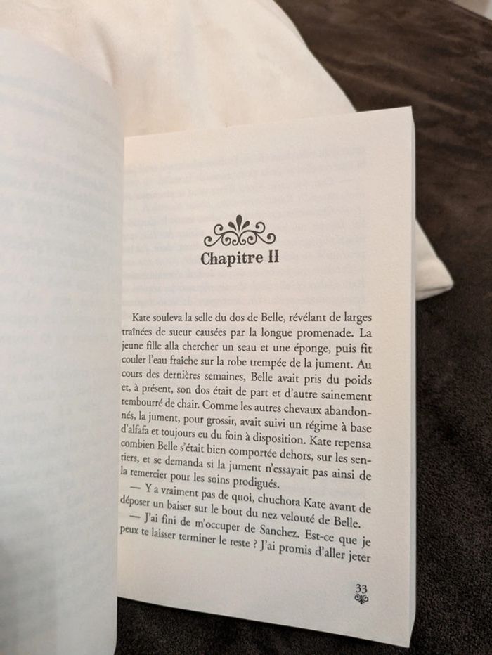 Livre un ranch pour Kate - photo numéro 4