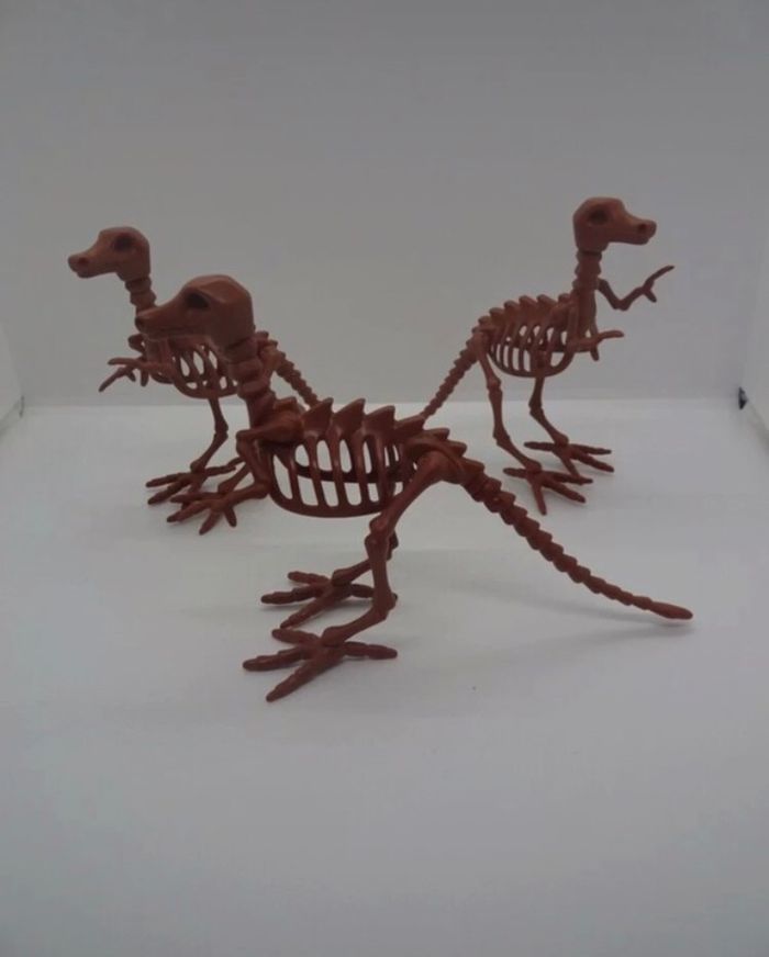 3 squelette dinosaure - photo numéro 2