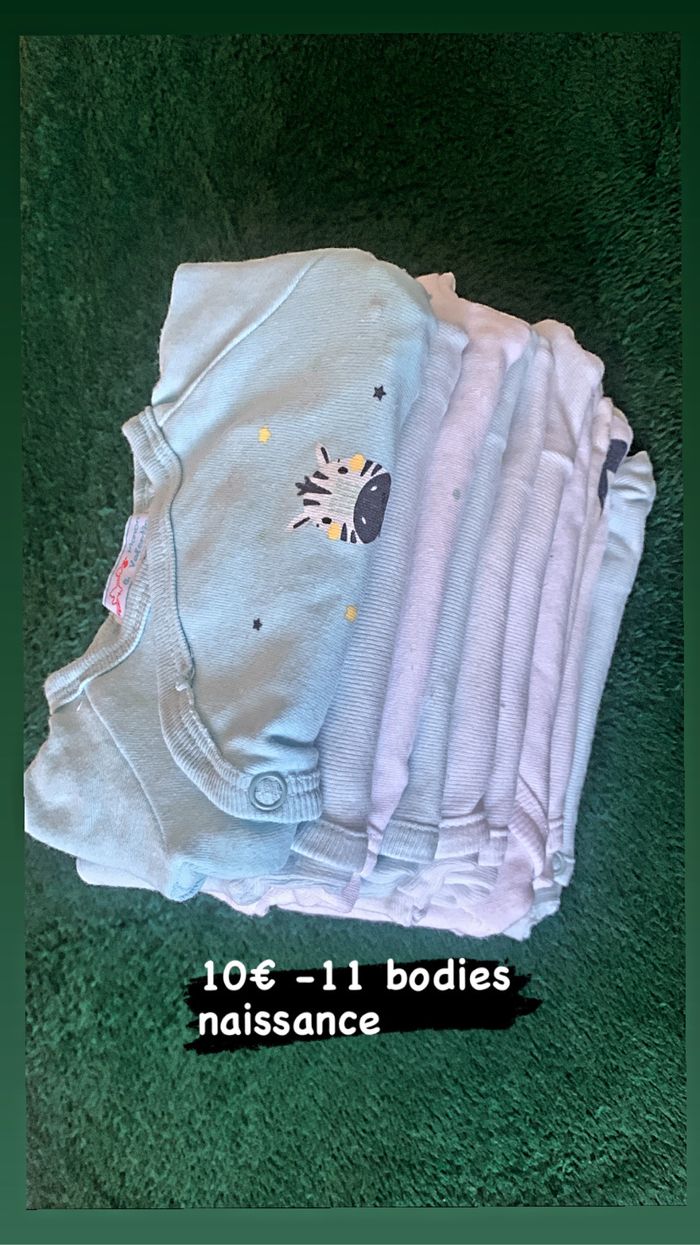 11 Bodies naissance - photo numéro 2