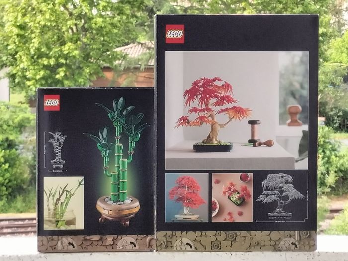 Lego bonsaï d'érable rouge du Japon et bambou - photo numéro 3