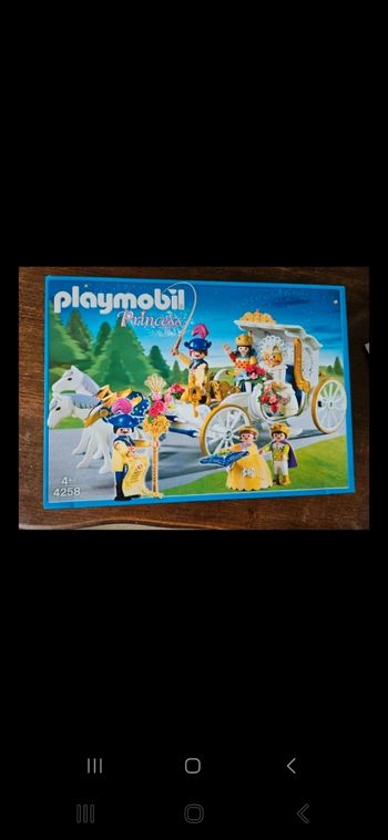 Playmobil Princess 4258