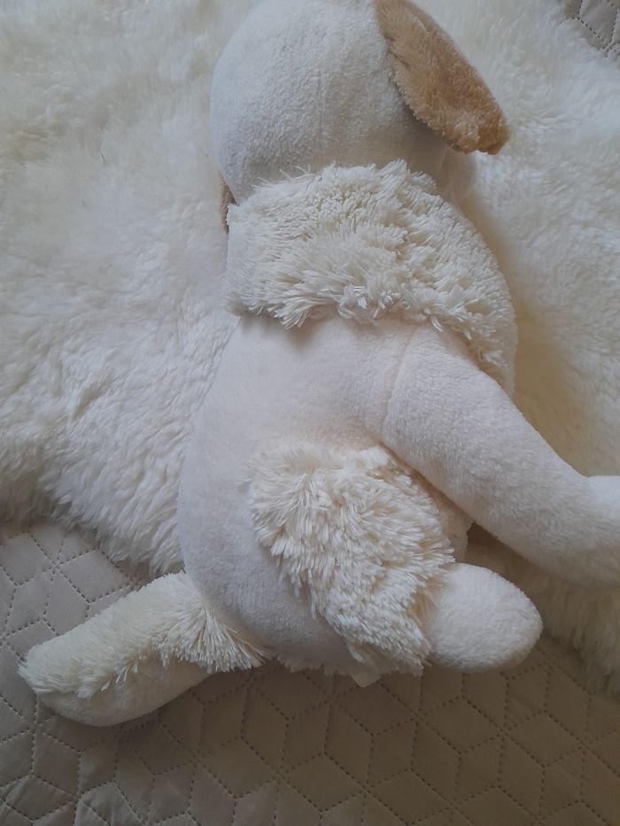 Jolie peluche chien  beige - photo numéro 8