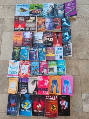 Lot 41 livres ado adulte