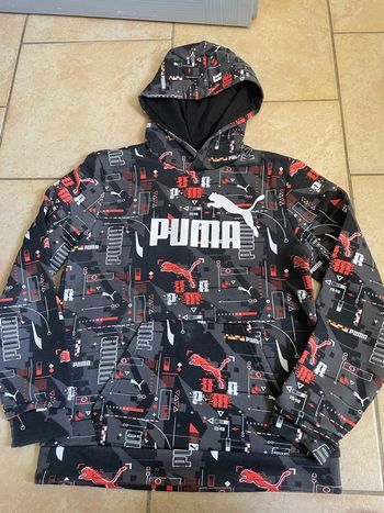 Sweat a capuche puma 