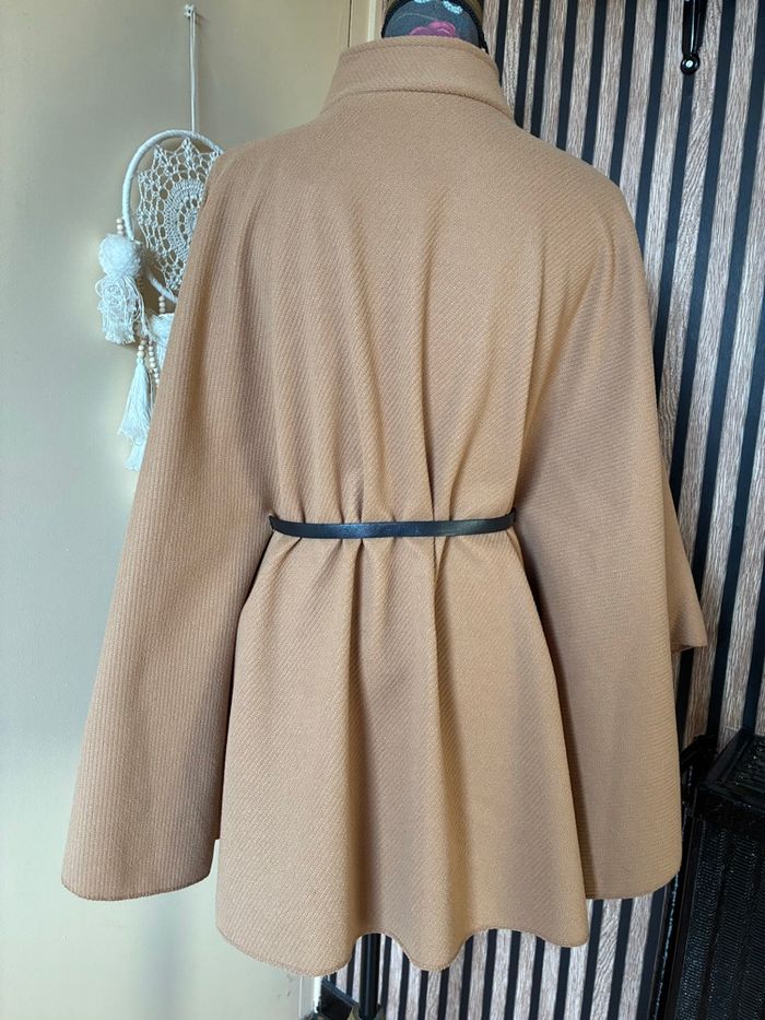 Cape camel - photo numéro 3