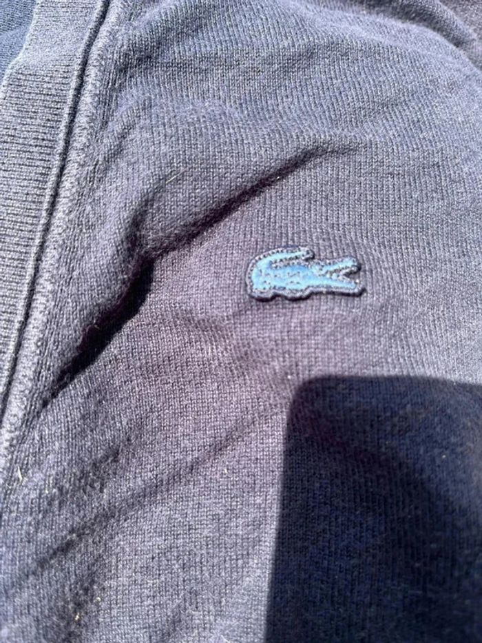 Gilet bleu marine Lacoste taille 7 XXL - photo numéro 3