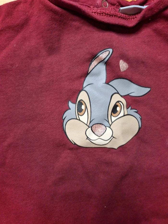 Pull pour fille taille 24 mois Marque Disney baby très bon état - photo numéro 4